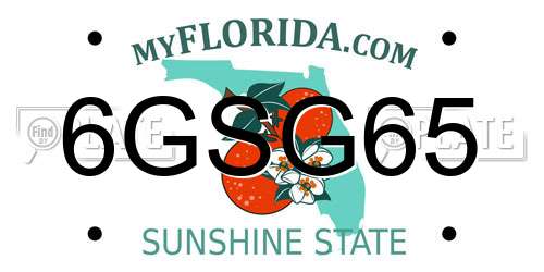 6GSG65 Florida License Plate