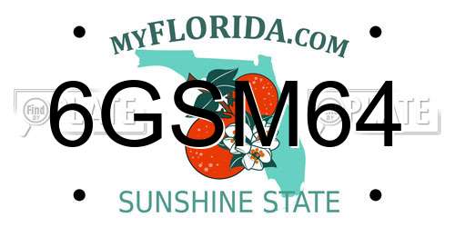 6GSM64 Florida License Plate