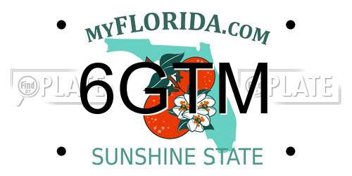 6GTM Florida License Plate