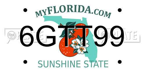 6GTT99 Florida License Plate