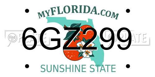 6GZ299 Florida License Plate