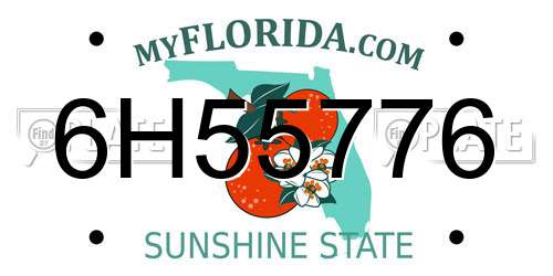 6H55776 Florida License Plate
