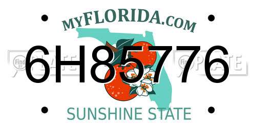 6H85776 Florida License Plate