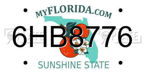 6HB8776 Florida License Plate