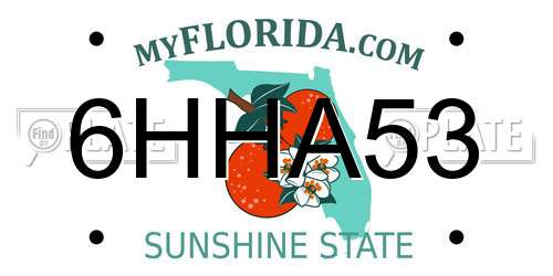 6HHA53 Florida License Plate