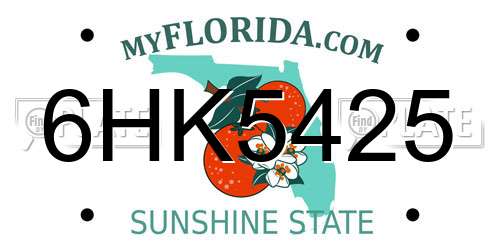 6HK5425 Florida License Plate