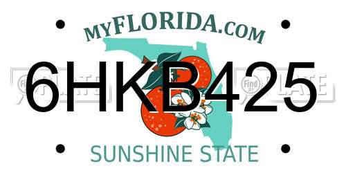 6HKB425 Florida License Plate
