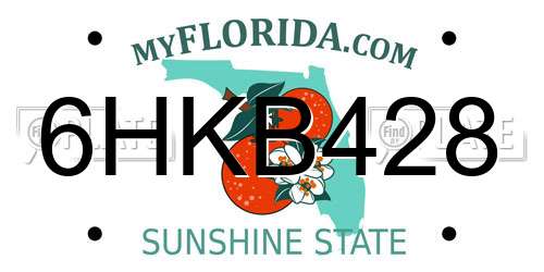 6HKB428 Florida License Plate