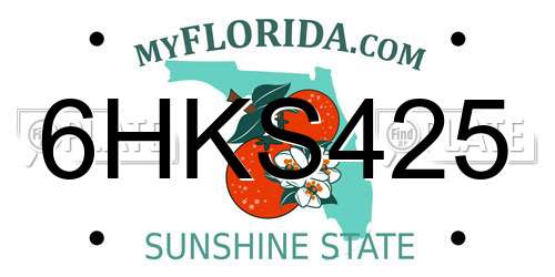 6HKS425 Florida License Plate