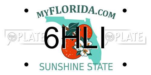 6HLI Florida License Plate