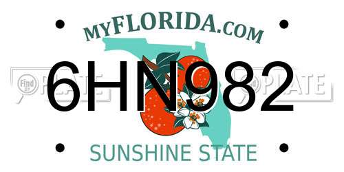 6HN982 Florida License Plate