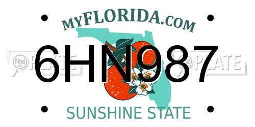 6HN987 Florida License Plate