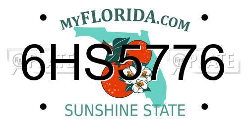 6HS5776 Florida License Plate