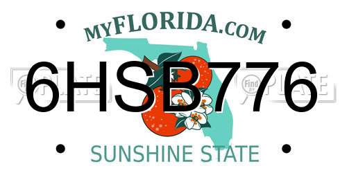 6HSB776 Florida License Plate