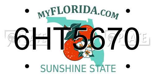 6HT5670 Florida License Plate