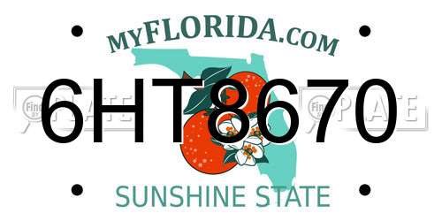6HT8670 Florida License Plate