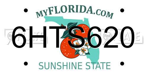 6HTS620 Florida License Plate