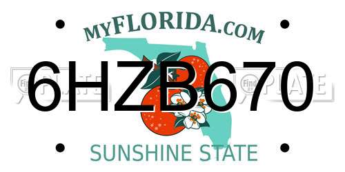 6HZB670 Florida License Plate