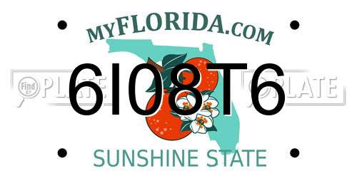 6I08T6 Florida License Plate
