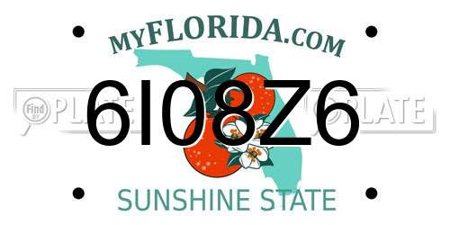 6I08Z6 Florida License Plate