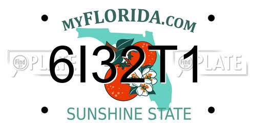6I32T1 Florida License Plate