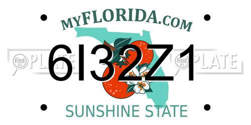 6I32Z1 Florida License Plate