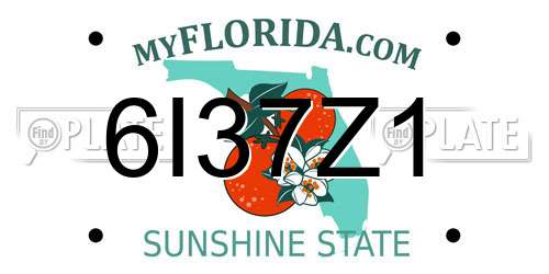 6I37Z1 Florida License Plate