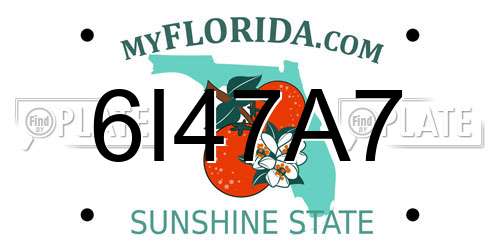 6I47A7 Florida License Plate
