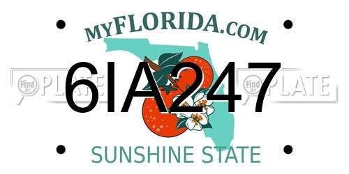 6IA247 Florida License Plate