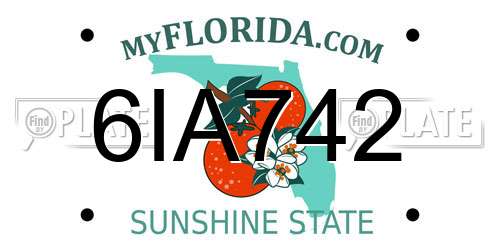 6IA742 Florida License Plate