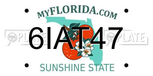 6IAT47 Florida License Plate