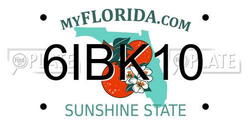 6IBK10 Florida License Plate