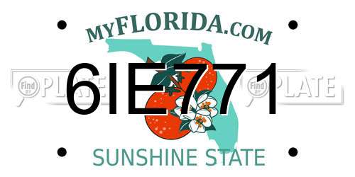 6IE771 Florida License Plate