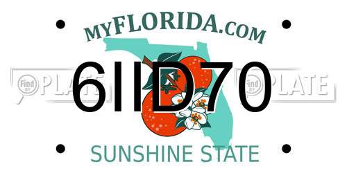 6IID70 Florida License Plate