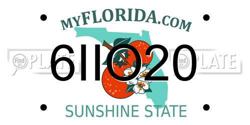 6IIO20 Florida License Plate