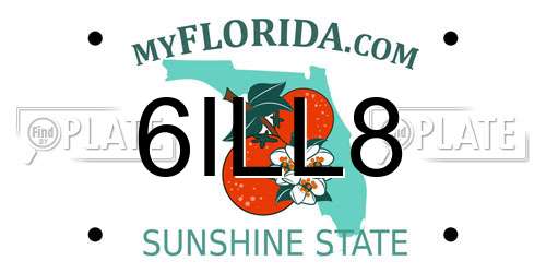 6ILL8 Florida License Plate