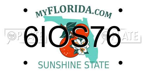 6IOS76 Florida License Plate