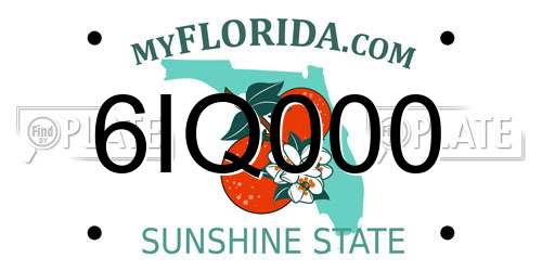 6IQ000 Florida License Plate