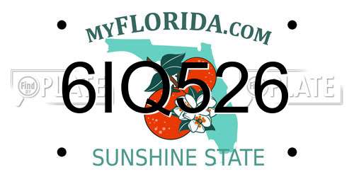 6IQ526 Florida License Plate