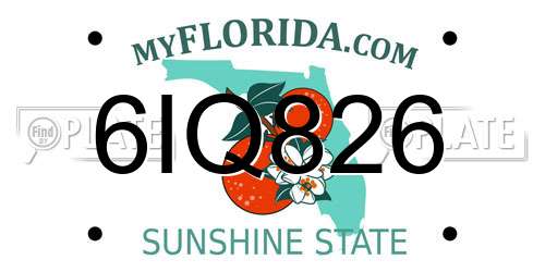 6IQ826 Florida License Plate