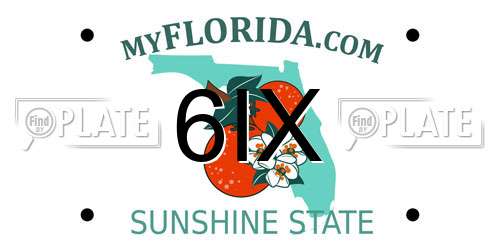6IX Florida License Plate