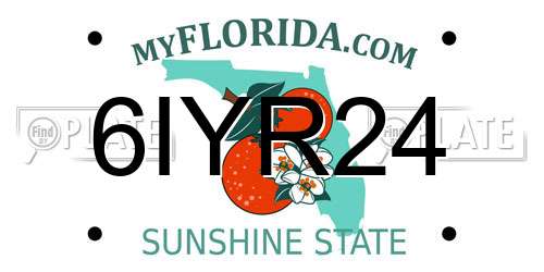 6IYR24 Florida License Plate