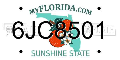 6JC8501 Florida License Plate