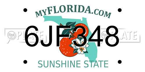 6JF348 Florida License Plate