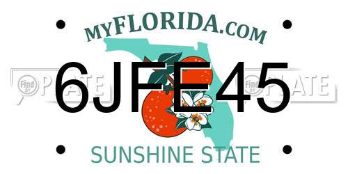 6JFE45 Florida License Plate