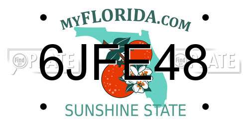 6JFE48 Florida License Plate