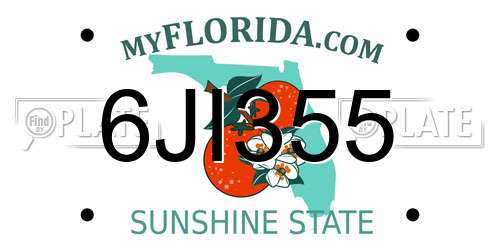 6JI355 Florida License Plate