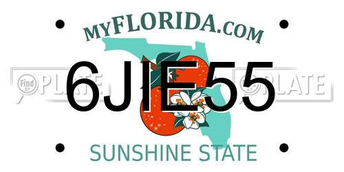 6JIE55 Florida License Plate