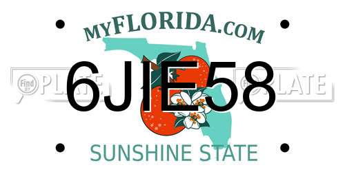 6JIE58 Florida License Plate