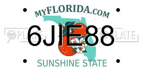 6JIE88 Florida License Plate